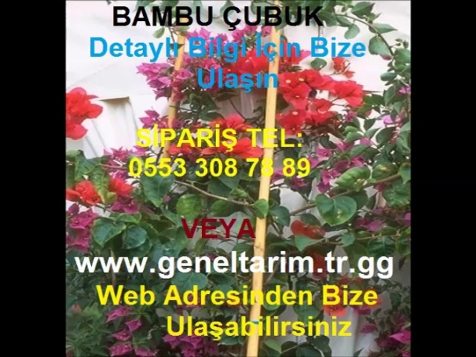 bambu-çubuk-fiyat,bambu-çubuk-satış,bambu-çubuk-ankara,BAMBU-ÇUBUK-ANKARA,bambu-çubuklar-ankara,bitki-destek-çubuğu-ankara,bitki-destek-çubukları-ankara,bambu-çubukları