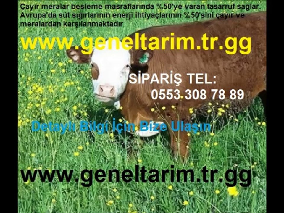 yapay mera tohumu,yapay çayır tohumu,suni mera tohumu,suni çayır tohumu,çayır mera karışımı,çayır mera karışımları