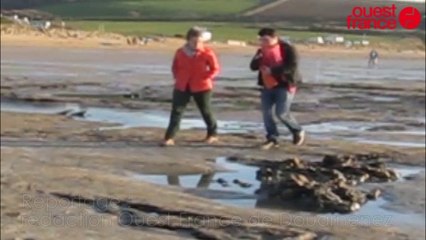 A Kerlaz, la forêt du Quaternaire attire les curieux