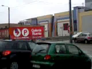 Latające Ptaki