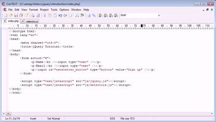 025 - Basic form field selection jQuery