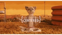 Wes Anderson y sus planos centrados