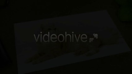 Round Stamp Logo Reveal - After Effects Template