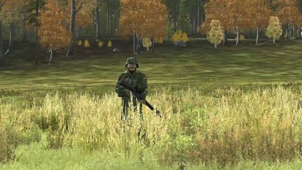 ArmA 2 Danish Armed Forces In Ukraine