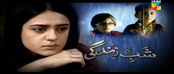Shab e Zindagi Episode 8 Full - March 18