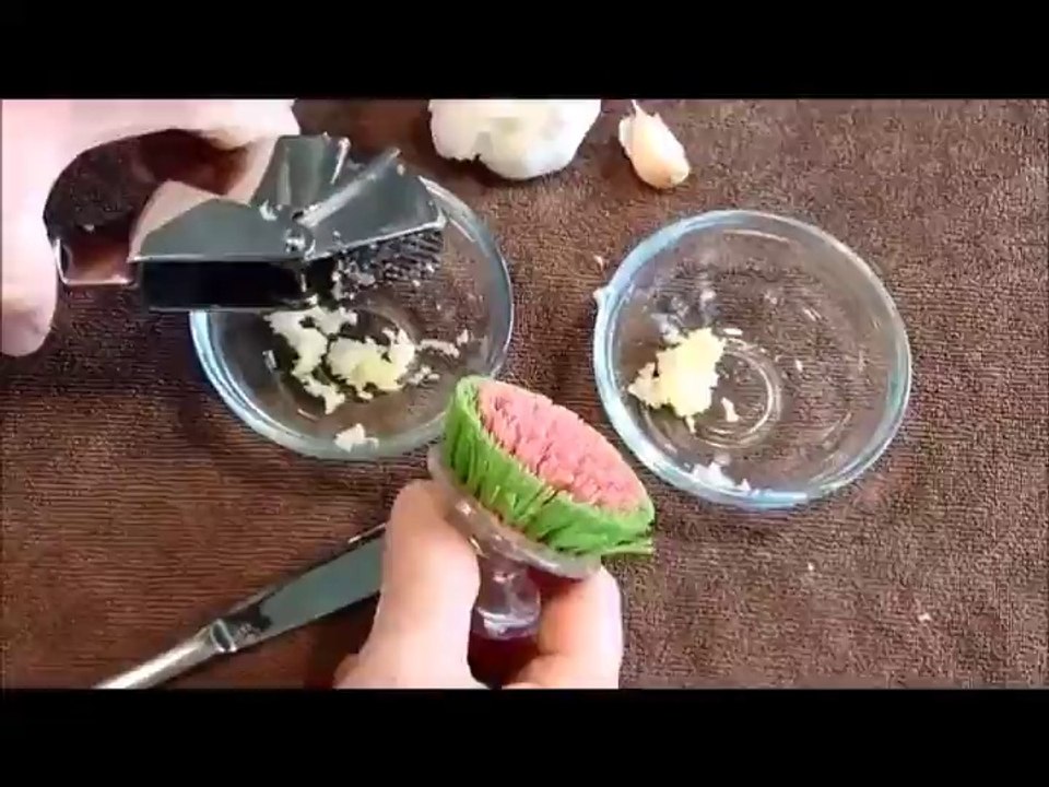 Garlic Press Reviews - Best Garlic Press Stainless Steel | Propresser by Orblue