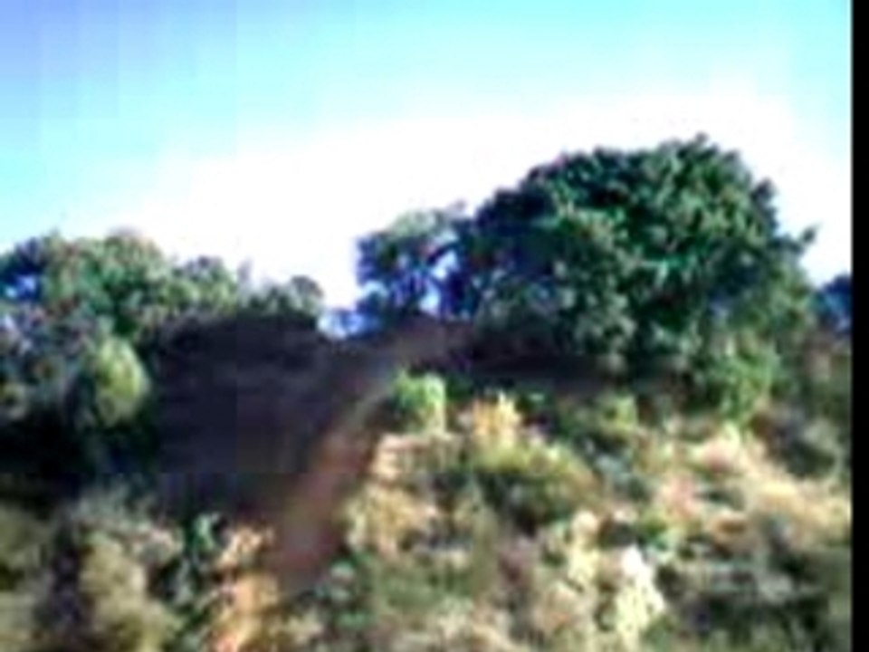 Video 12130005