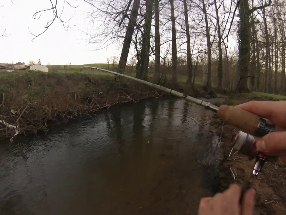 Session truite 18-03-14