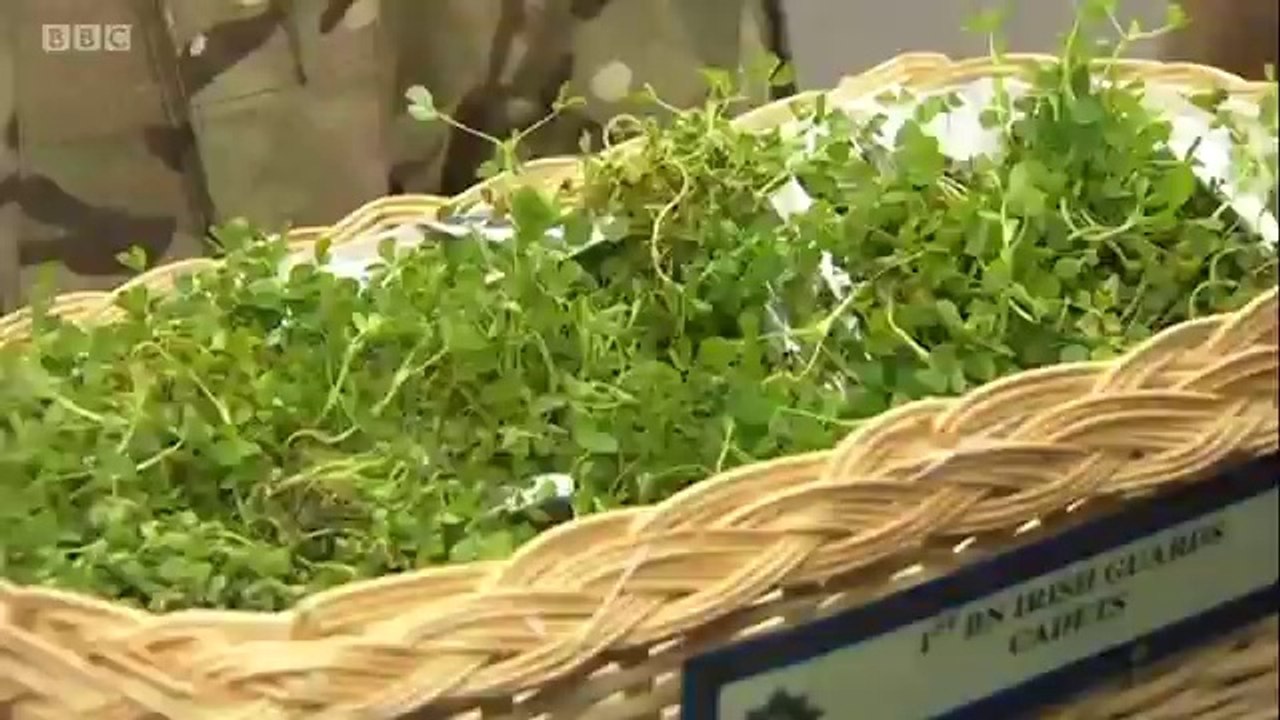 BBC South Today - 17/3/14