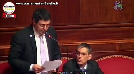 Scibona (M5S): "Il pestaggio della polizia a Zeno Rocca (No Tav)" - MoVimento 5 Stelle