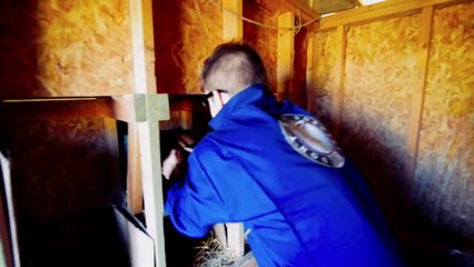 Don't Know Dorothy - Whatever Comes [Offical Music Video]