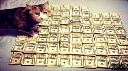 Elder Scrolls Online Beta Keygen OFFICIAL - YouTube