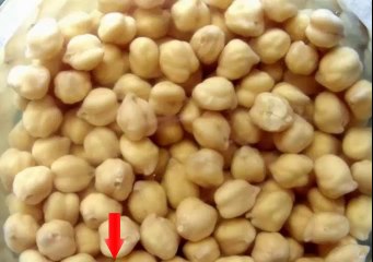 GARBANZOS SUAVES