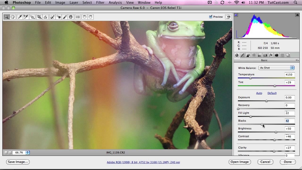 Noise Reduction Photoshop CS5