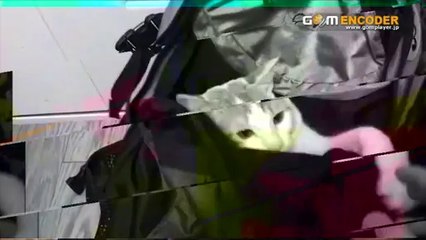 男性のトイレが近い（頻尿）・尿漏れ・尿失禁を解決する方法(ダウンロード版）　実践 検証 動画 実績 特典 購入 レビュー ブログ 暴露 評価 評判