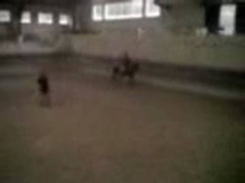 vid_o000