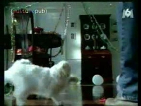 Pub humour mauvaise haleine