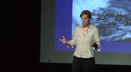 TEDxAsheville - Dee Eggers - Dolphins as Persons