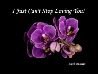 I Just Can't Stop Loving You