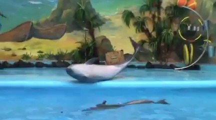 Дельфинарий Ереван[240P]