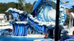 Dolphin and Beluga Whales Show called Blue Horizons at SeaWorld, Orlando, Florida on Dec 28 2011[320x240]