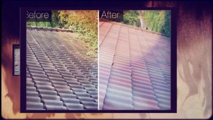 Carpet Cleaning West Palm Beach