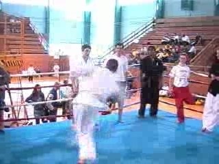 martial arts - capoeira