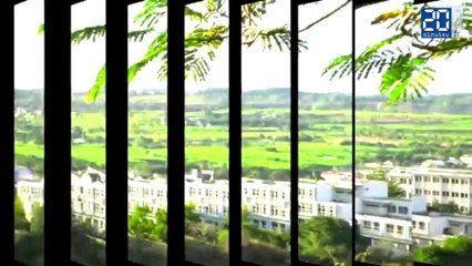 Ambiance musicale aux municipales de La Réunion