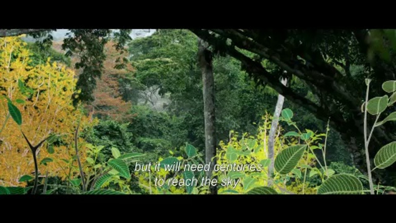 ONCE UPON A FOREST - Trailer