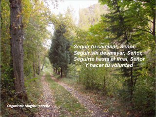 EL HIMNO EVANGELICO DEL DIA: "SEGUIRTE SOLO A TI SEÑOR"