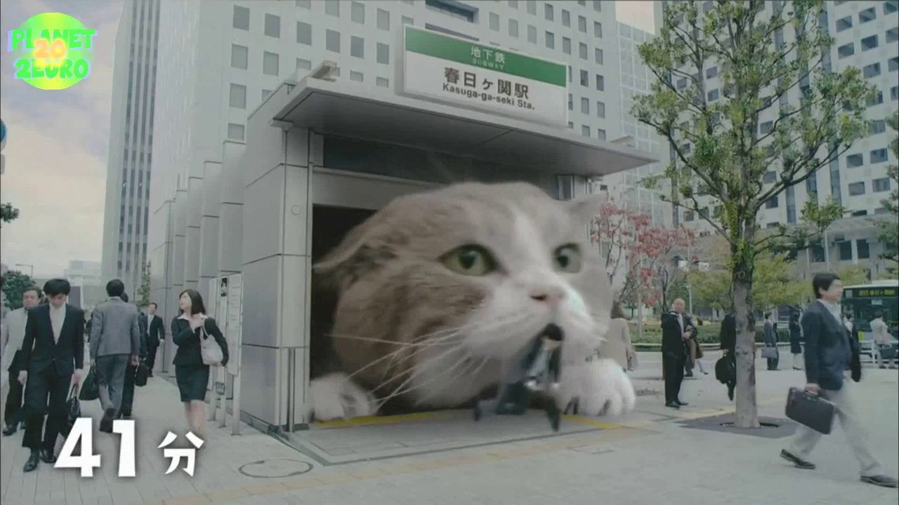 Une Pub Japonaise What The Fuck