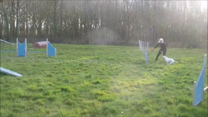 Vodka Eclipse Ateliers 2014-03-15 + quelques runnings