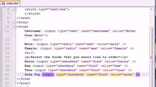 XHTML and CSS Tutorial - 41 - Check Boxes Radio Buttons