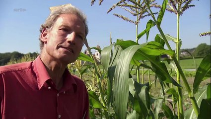 Semences les gardiens de la biodiversité