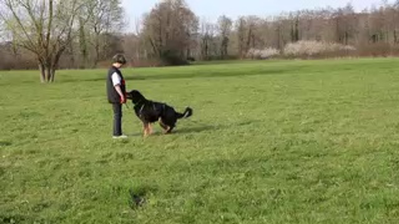 Boann entraînement mars 2014