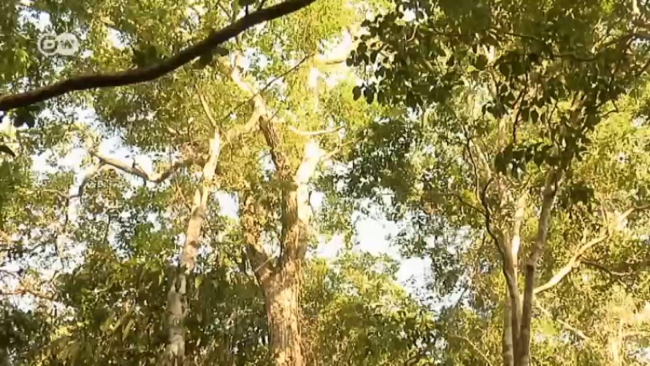 Geld für das Umweltbewusstsein neuer Generationen | Global 3000