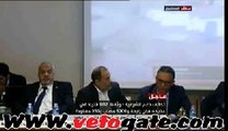 تقرير عن فض إعتصامي رابعة والنهضة