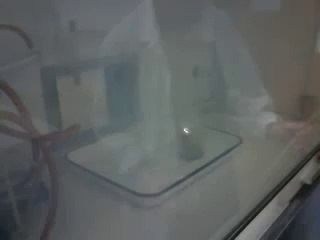 Zn + NH4NO3 + NH4Cl + Ba(NO3)2 (INCENDIARIA)