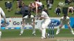 Virat Kohli 105 vs New Zealand 2nd Test Wellington February 2014 HD