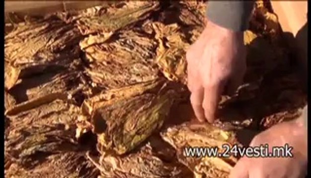 POMOS ZA TUTUNARITE BEZ DOGOVORI 19 03