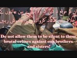 Day of Action- Urge the Muslim Media to Speak out Against the Genocide of Muslims in CAR [Urdu Version]