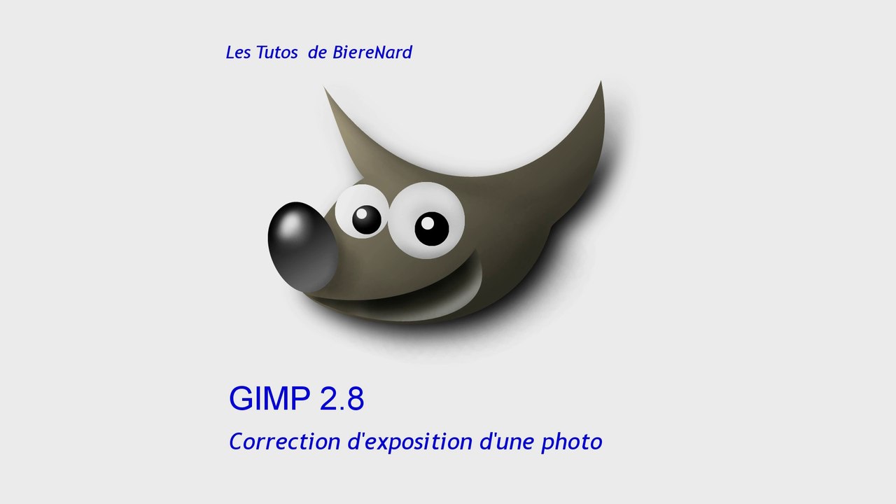 Les Tutos de BièreNard : Gimp Correction de l'exposition