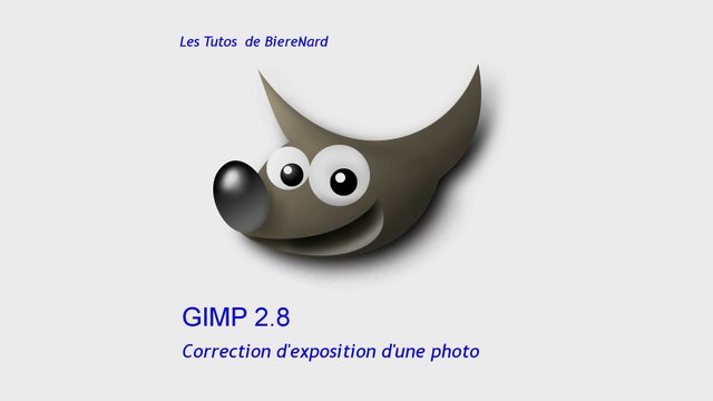 Les Tutos de BièreNard : Gimp Correction de l'exposition