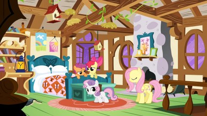 My Little Pony Sezon 1 Odcinek 17 Mistrzyni spojrzenia [Dubbing PL 1080p]