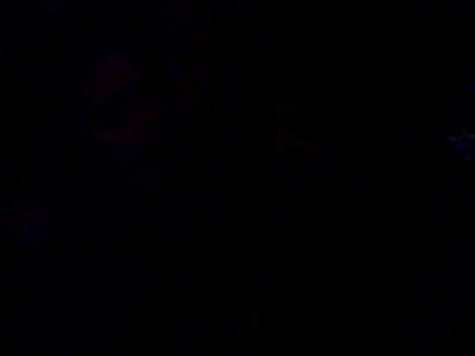 Siempre bebemos mas cerveza