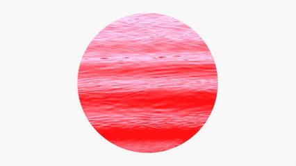 Écritures végétales-Martine Mougin-TK21