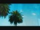 Jim Jones featuring Trey Songz - Summer Wit Miami