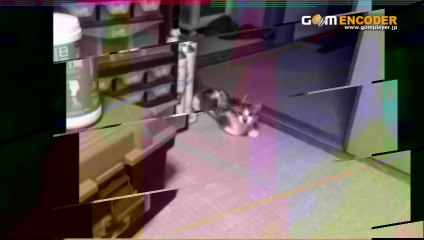 100％男性をメロメロにする声の魅力教室【グループレッスン】　実践 検証 動画 実績 特典 購入 レビュー ブログ 暴露 評価 評判