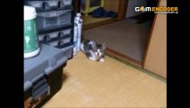 マナブ式FX完全マスタープログラム　実践 検証 動画 実績 特典 購入 レビュー ブログ 暴露 評価 評判