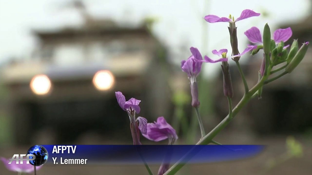 Israel bombs Syria army targets after Golan attack